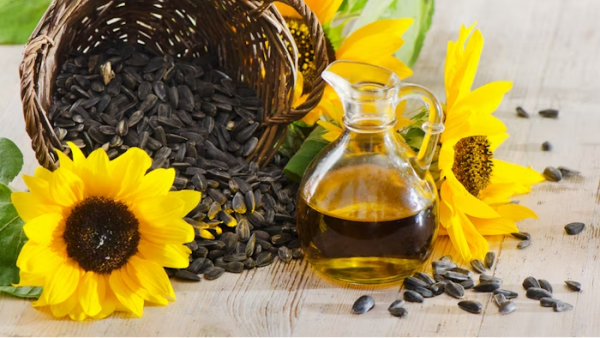 Sunflower Oil